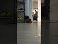 انهاشي هكومه انهاشي هكومه