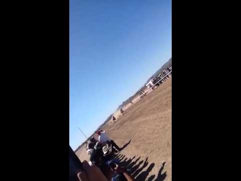 Video: Gara me kuaj në Turf Paradise në Phoenix