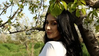 картинка: Элеанора Шамсудинова - Где ты | LEZGI KAVKAZ MUZIC