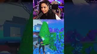 Famous Chica vs Bush Wealth