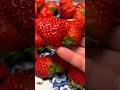 สตอเบอรี่ลูกละ100#ลองดู #อร่อยบอกต่อ #คนไทยในญี่ปุ่น #shorts #cute