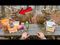 10 Deer Attractants Tested by Game Wardens — 8 Are Now ILLEGAL. The 2 That Survived Will Shock You