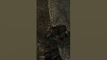 Waarom verscheen er een First Person View nadat ik de Death Cutscene al had gezien #fallout #newv...