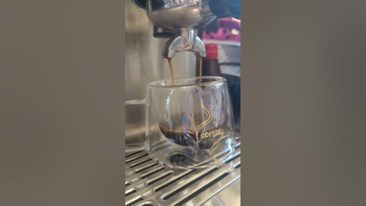 Good & Gather (Target Espresso) espresso Breville pro Vrs Sur la Table