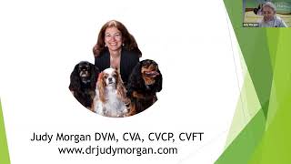 Deciphering Liver Values