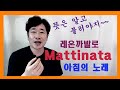 [알듣알부]mattinata 아침의 노래 가사해석 ,알고듣고 알고부르자! #알듣알부#가사해석#아침의노래