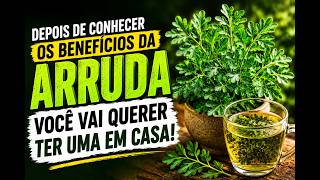 ARRUDA É BOM PARA QUÊ? O SEGREDO NATURAL QUE POUCOS CONHECEM.