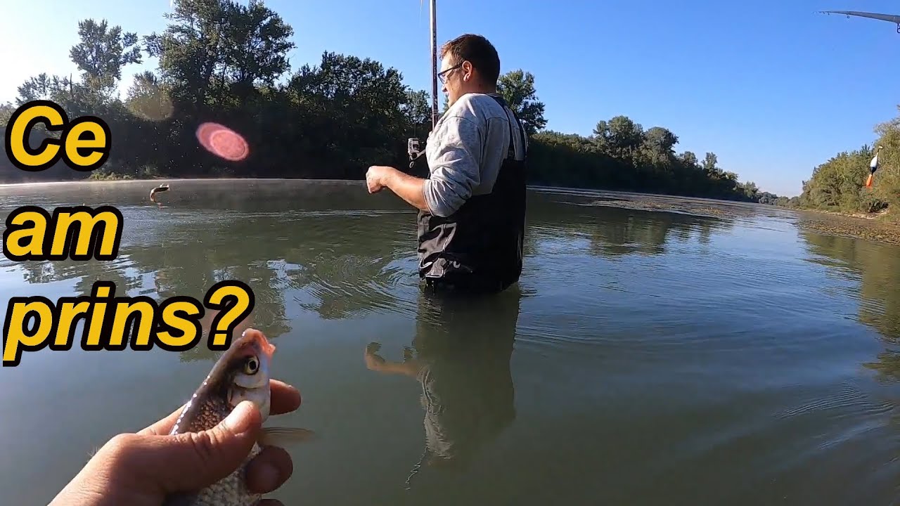 Am Pescuit pe Prut la Plută și Spinning Septembrie 2021