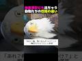 赤ちゃん動物たちの体重測定、反応がそれぞれ違いすぎて尊い