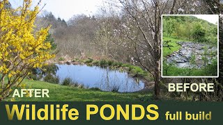 We built two PONDS | They changed our garden forever