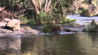 A few minutes with the San Joaquin River