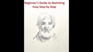 Beginner