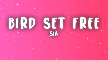 Sia - Bird Set Free (Lyrics)