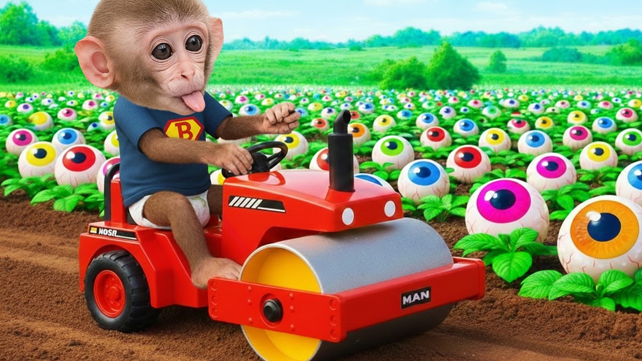 Bim Memutuskan Memperbaiki Jalan Tanah yang Rusak dan Akhirnya Mengejutkan!