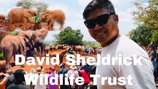 MCHL VISITS DAVID SHELDRICK ELEPHANT ORPHANAGE | KENYAN ADVENTURE
