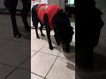 Not a fan of eating in front of people
