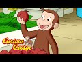 Curious george  george tries asian food  kids cartoon  kids movies s for kids