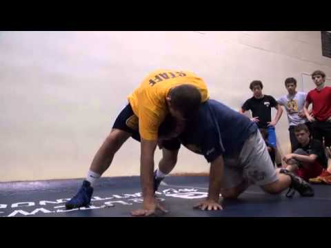 Single-leg Series