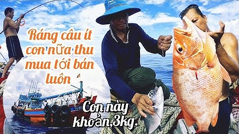 Kéo Lưới Vừa Xong,Cá Nhồng,Cá Đỏ, Cá Quỵt, Ráp Ăn Mồi Mê Say|Đánh Cá 2025-Tập46|Sóng Biển Hứa Đông