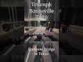 Triumph Bonneville T100 | TokyoNightRide (RainbowBridge)