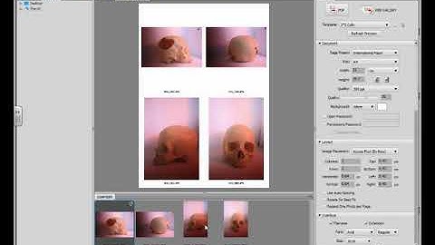 How to create a contact sheet in adobe bridge the easy way.