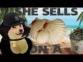 Doomer girl Doge sells sea shells on the sea shore (Lyric/music video)
