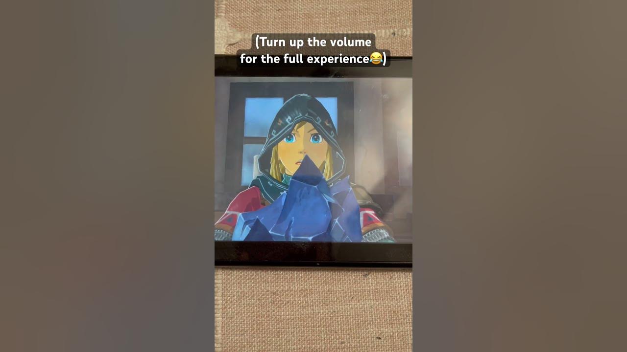 Dying clothes botw totk tlozbotw tloztotk tloz games videogames