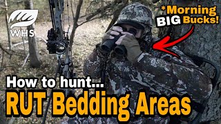 How To Hunt Morning Rut Bedding Stands screenshot 1