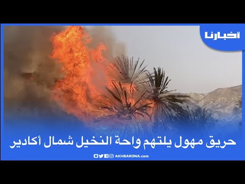 حريق مهول يلتهم واحة للنخيل شمال أكادير