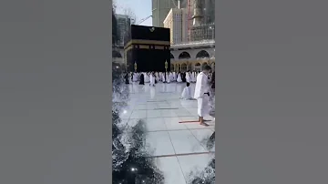 خذوني معاكم يا زوار النبي صلوا على رسول الله أبوسليم 