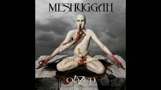 Meshuggah - Lethargica (Instrumental)