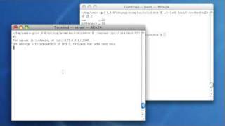 YAMI4 Tutorial 7. Multiple Transports