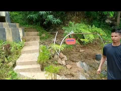 Blisha view poen/Tony s momin