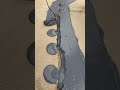 #Roof Damage Repair #Waterproofing System