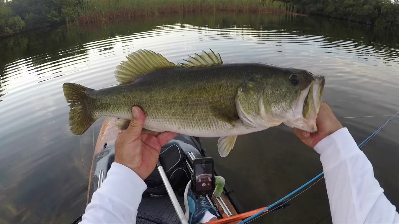 Kayak Fishing Everglades National Park YouTube