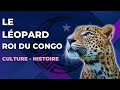 Le leopard roi du congo  la symbolique du lopard en rd congo