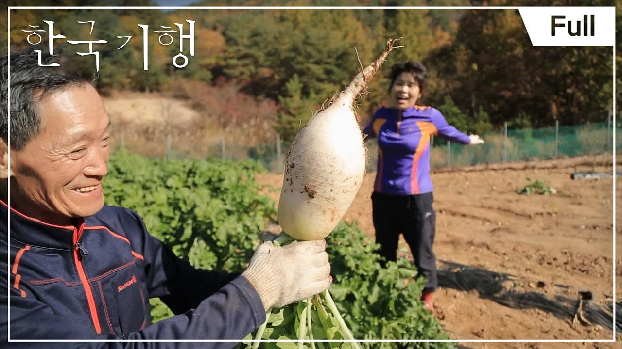 [Full] 한국기행 - 가을 무릉도원을 찾아서 1부 신선이 놀다 간곳 포항 하옥계곡