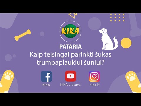 Video: Kaip Pasirinkti Tinkamą šunų Maistą