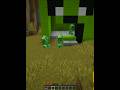 blowing up the creeper's house
