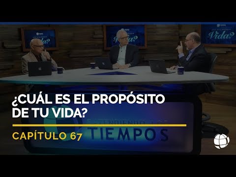 Video: Para propósitos de representación, ¿significado?