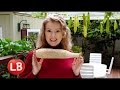 How to grow loofah luffa for sponges  late bloomer  episode 15