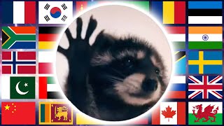 Pedro Pedro Pedro Pedro Pe In Different Languages Meme