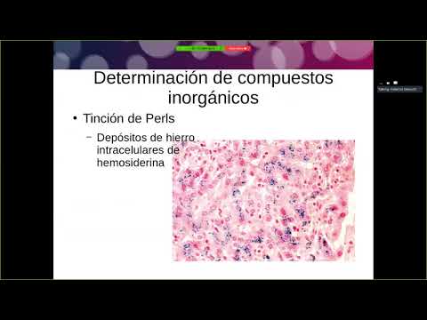 Capítulo 1 Presentación de Citoquímica e Histoquímica (Ba2) Video 6