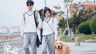 【ENG SUB】《寵愛/Adoring》記得這個世界不夠完美，但是總會有人悄悄愛你！🐶💓😻#吴磊 #张子枫  #钟汉良  #杨子姗
