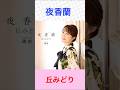 丘みどり 夜香蘭 #丘みどり #夜香蘭 #shorts