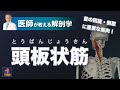 頭板状筋とは？【医師による解剖学解説】