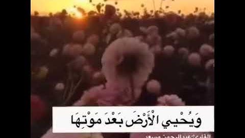 ماتيّسر من سورة الرُوم, للقارِئ الشِيخ عبدالرحمٰن مسعد💙💙💙🌻.