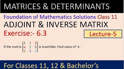Inverse and adjoint of matrix solution | Foundations of mathematics solutions class 11 |class 11 NEB