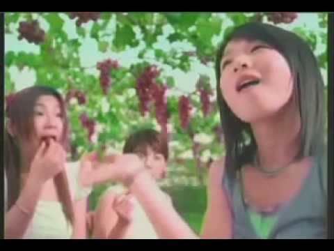 [CF] S.H.E 每日C完整篇