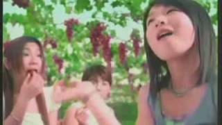 [CF] S.H.E 每日C完整篇